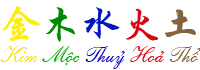 vanmenh.net Logo