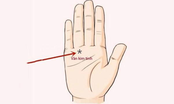 Lòng bàn tay có những đặc điểm này hậu vận của bạn nếu không giàu sang phú quý thì cũng an nhàn cả đời