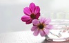 Chủ nhật của bạn (24/6): Cự Giải hãy chăm sóc ngoại hình