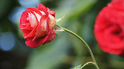 Tháng 5 - Tháng Kim Ngưu, chăm chỉ hay nghỉ dưỡng?