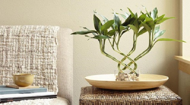 Chọn màu sắc hợp mệnh theo năm sinh, tiền bạc dồn dập kéo tới