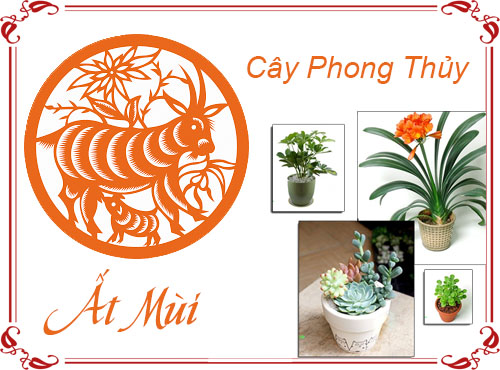 Tuổi Ất Mùi chọn cây gì hợp phong thủy