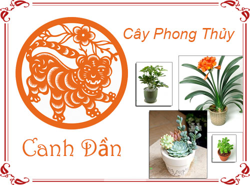 Tuổi Canh Dần chọn cây gì hợp phong thủy