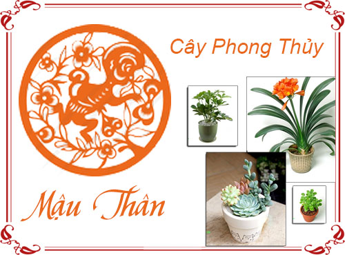 Tuổi Mậu Thân chọn cây gì hợp phong thủy