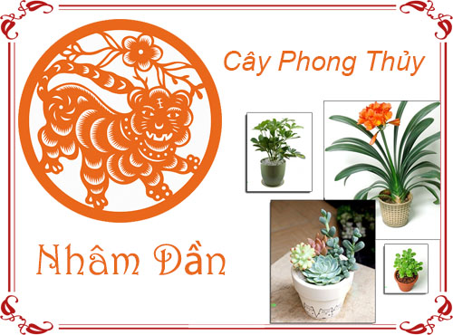 Tuổi Nhâm Dần chọn cây gì hợp phong thủy