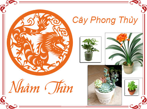 Tuổi Nhâm Thìn chọn cây gì hợp phong thủy