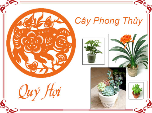 Tuổi Quý Hợi chọn cây gì hợp phong thủy