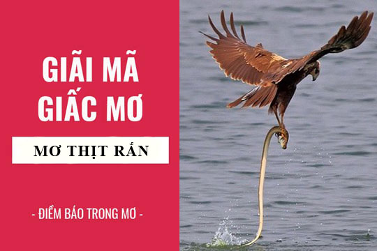 Giải mã giấc mơ: Nằm mơ thấy ăn thịt rắn điềm báo gì, lành hay dữ? con số liên quan