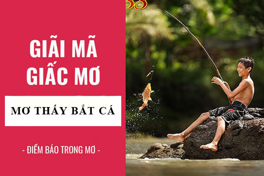 Giải mã giấc mơ: Nằm mơ thấy bắt cá điềm báo gì, lành hay dữ? con số liên quan