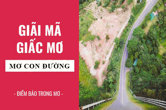 Giải mã giấc mơ: Nằm mơ thấy con đường điềm báo gì, lành hay dữ? con số liên quan