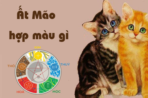 Tuổi Ất Mão hợp màu gì theo phong thủy?