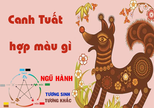 Tuổi Canh Tuất hợp màu gì, kỵ màu gì theo phong thủy?