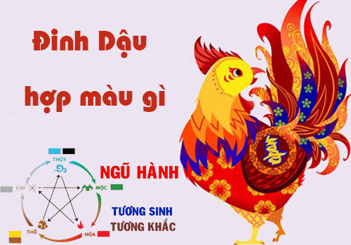 Tuổi Đinh Dậu hợp màu gì, kỵ màu gì theo phong thủy?