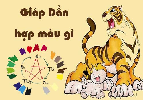 Tuổi Giáp Dần hợp màu gì theo phong thủy?