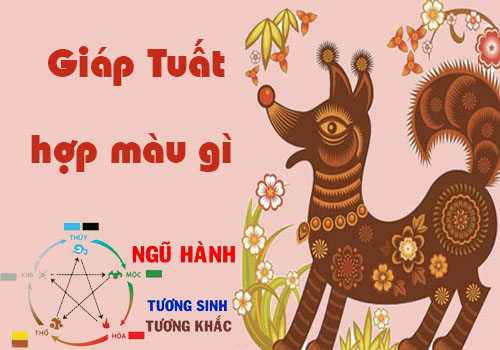 Tuổi Giáp Tuất hợp màu gì, kỵ màu gì theo phong thủy?