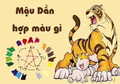 Tuổi Mậu Dần hợp màu gì theo phong thủy?