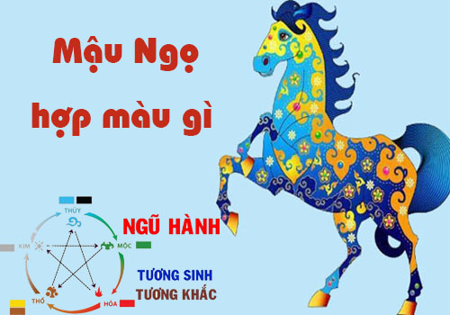 Tuổi Mậu Ngọ hợp màu gì, kỵ màu gì theo phong thủy?