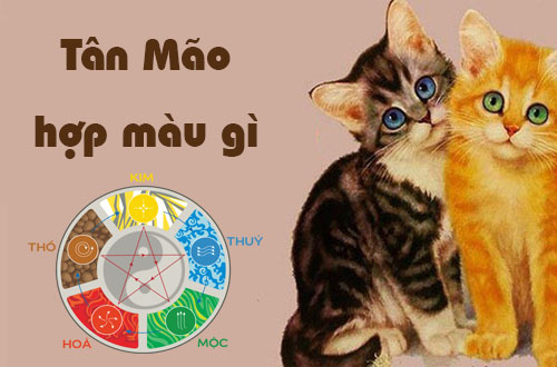 Tuổi Tân Mão hợp màu gì theo phong thủy?