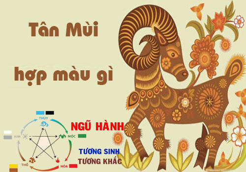 Tuổi Tân Mùi hợp màu gì, kỵ màu gì theo phong thủy?