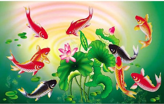 Cá chép mang lại may mắn về tài lộc và học hành thi cử
