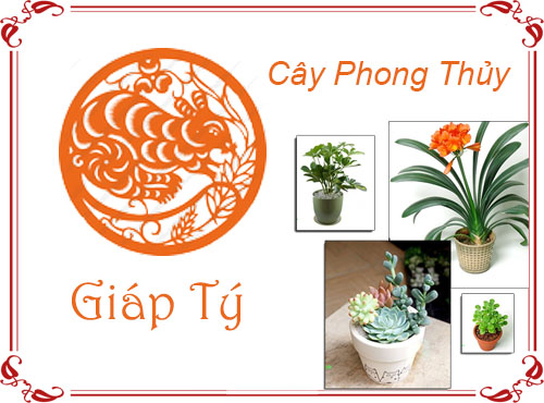 Tuổi Giáp Tý chọn cây gì hợp phong thủy