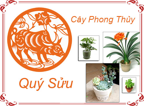 Tuổi Quý Sửu chọn cây gì hợp phong thủy