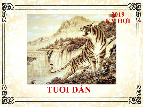 Xem tử vi năm 2019 tuổi Dần: Trong phá có hợp, vận dữ khó lường
