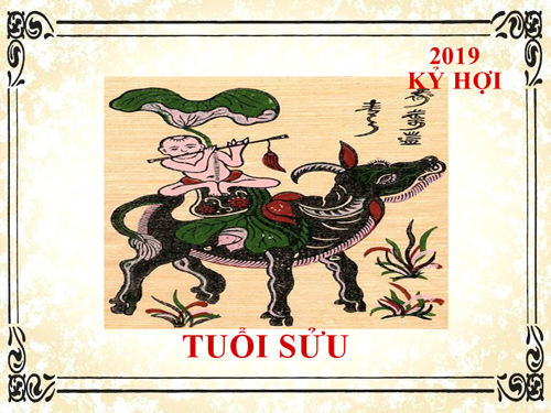 Xem tử vi năm 2019 tuổi Sửu: Cáo biệt năm cũ tiêu điều, thách thức năm mới