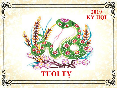 Xem tử vi năm 2019 Kỷ Hợi tuổi Tỵ: Vận khí thăng trầm, xảy ra nhiều biến cố
