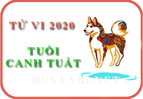 Tử vi tuổi Canh Tuất năm 2020: Sự nghiệp may mắn, tài lộc thăng trầm