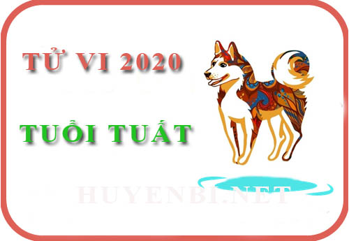 Tử vi năm 2020 của tuổi Tuất: Với ngôi sao may mắn, mọi thứ sẽ tốt đẹp