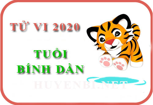 Tử vi năm 2020 của tuổi Bính Dần: May mắn sự nghiệp, tình cảm thăng hoa