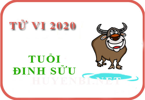 Tử vi tuổi Đinh Sửu năm 2020: Bình hoà, may mắn trong học tập