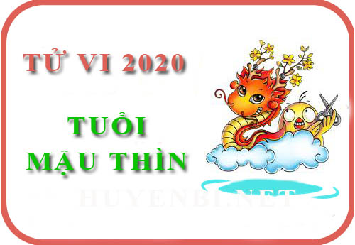 Tử vi năm 2020 của tuổi Mậu Thìn: Sự nghiệp may mắn