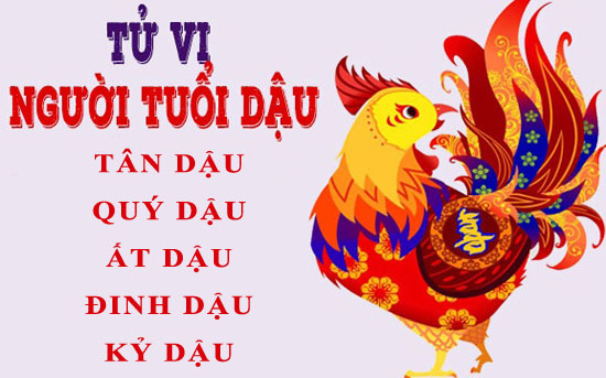 Tử vi trọn đời tuổi Dậu: Tổng quan vận mệnh và cuộc đời