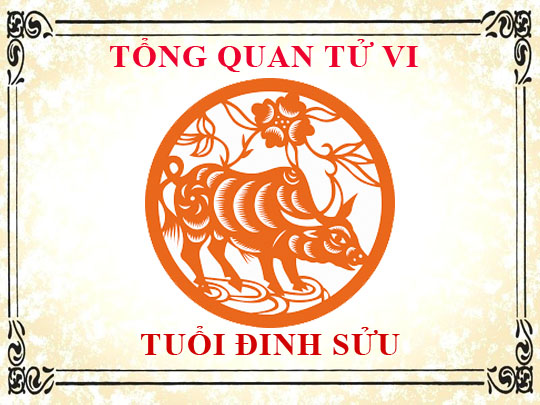 Tử vi trọn đời tuổi Đinh Sửu: Tổng quan về vận mệnh, tình yêu, sự nghiệp