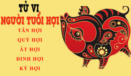 Tử vi trọn đời tuổi Hợi: Tổng quan vận mệnh và cuộc đời