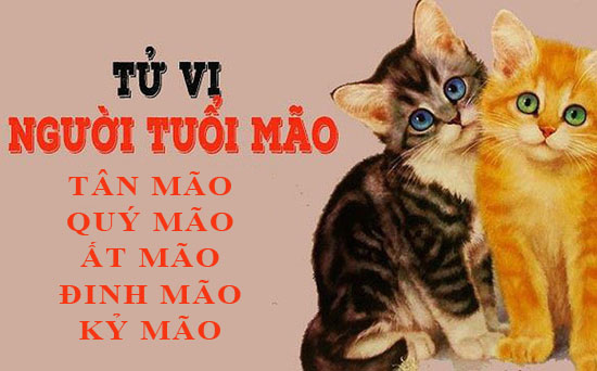 Tử vi trọn đời tuổi Mão: Tổng quan vận mệnh và cuộc đời