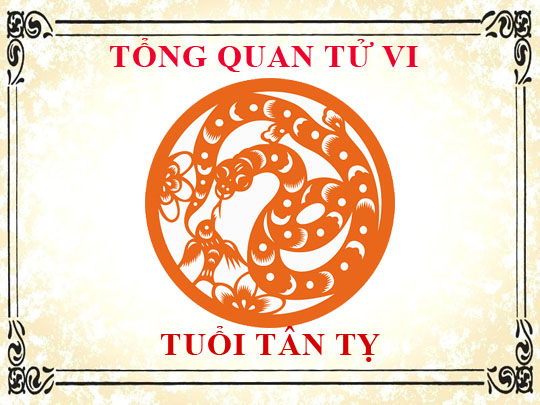 Tử vi trọn đời tuổi Tân Tỵ: Tổng quan về vận mệnh, tình yêu, sự nghiệp