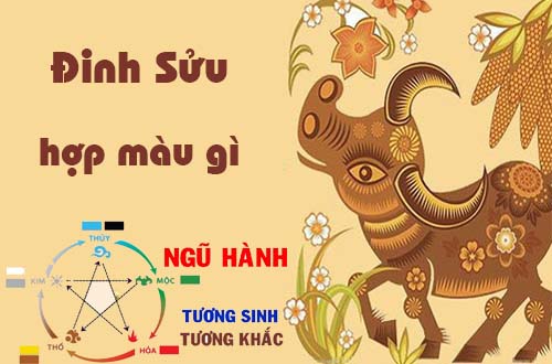 Tuổi Đinh Sửu hợp màu gì theo phong thủy?