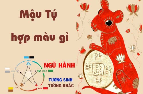 Tuổi Mậu Tý hợp màu gì theo phong thủy?
