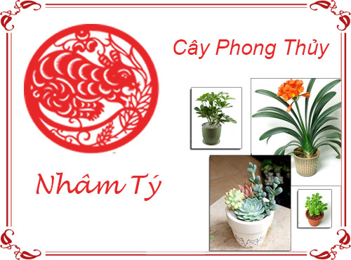 Tuổi Nhâm Tý chọn cây gì hợp phong thủy