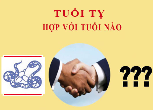 Tuổi Tỵ hợp với tuổi nào?