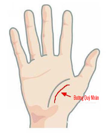long ban tay co nhung dac diem nay hau van cua ban neu khong giau sang phu quy thi cung an nhan ca doi